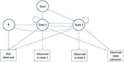 Frontiers | A Test For The Underlying State-Structure Of Hidden Markov ...